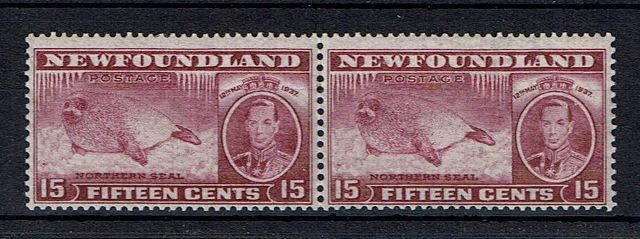 Image of Canada-Newfoundland SG 263da LMM British Commonwealth Stamp